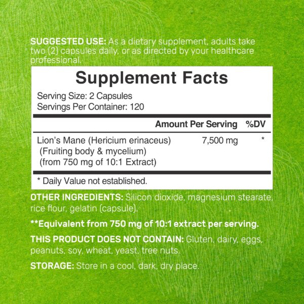 Version 1.0.0 Botella suplemento melena de león extracto 10 a 1