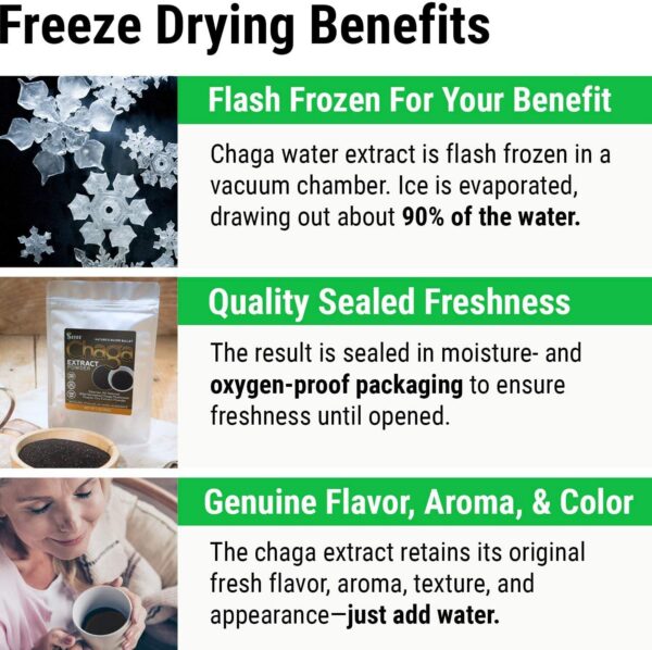 Botella de suplemento en polvo extracto chaga sin cafeína