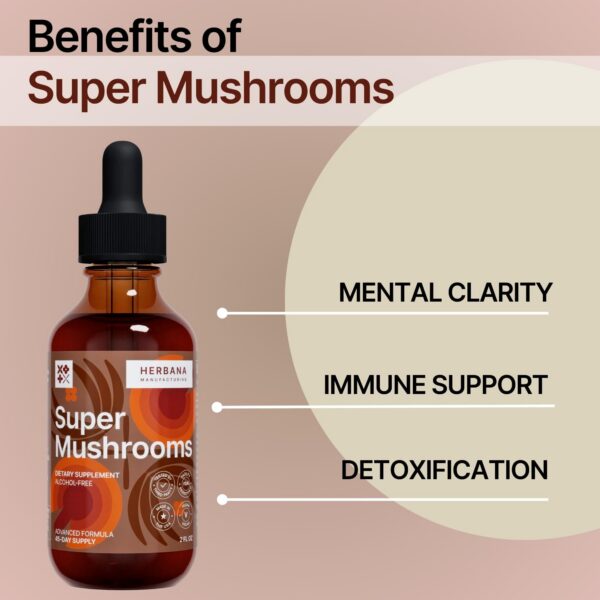 Botella de suplemento super mushrooms sobre fondo blanco