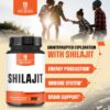 Version 1.0.0 Botella suplemento WELBUDA Shilajit 1500 mg 60 cápsulas