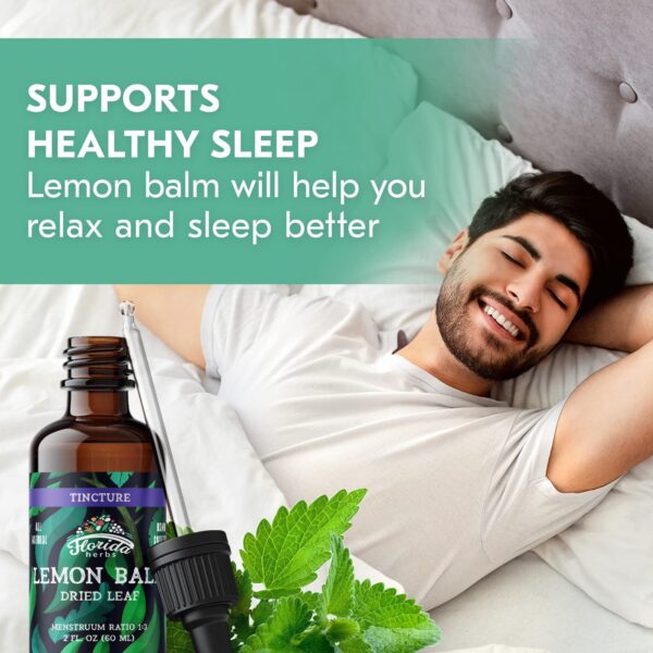 Botella de tintura de toronjil sin hormonas Florida Herbs