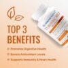 botella-turmeric-md-60-capsulas