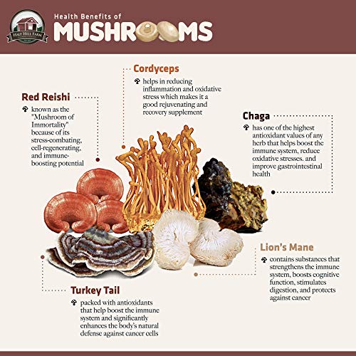 Botella de vidrio con extracto de Cordyceps