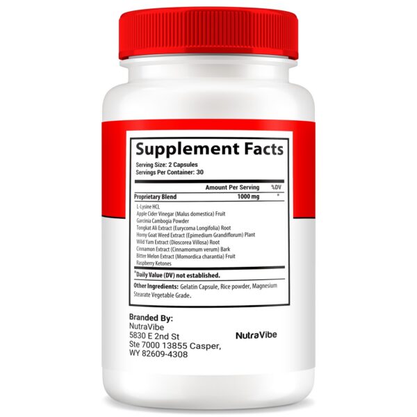 Version 1.0.0 Botella Vitaflow Max mezcla natural para salud y energía