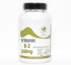 Botella de vitamina B-2 250mg Naturetition Supplements 100 cápsulas