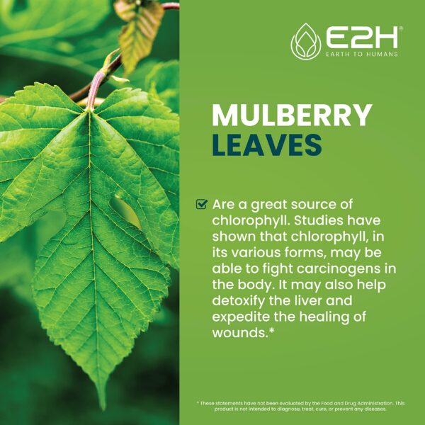 Clorofila líquida sin gluten para desintoxicación de cuerpo interno