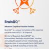 BrainQQ NaturalPQQ fermentado