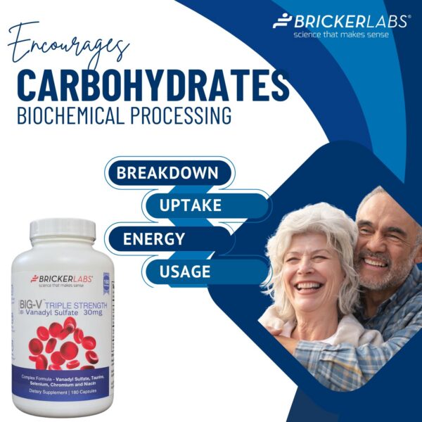 Version 1.0.0 Frasco de cápsulas Bricker Big-V