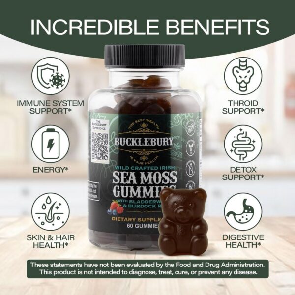 Version 1.0.0 Frasco Bucklebury 60 piezas