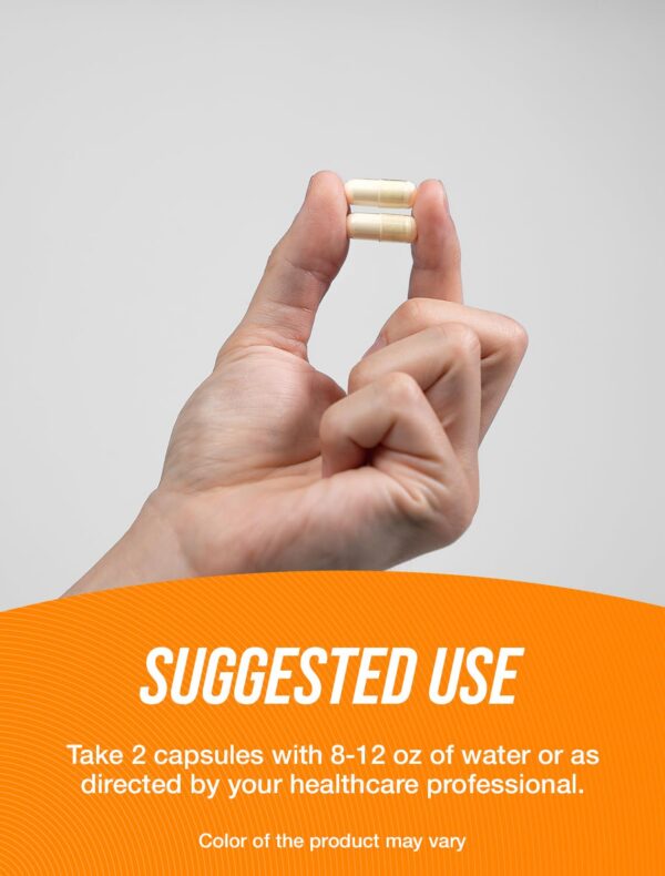 Version 1.0.0 Detalle de envase y etiqueta