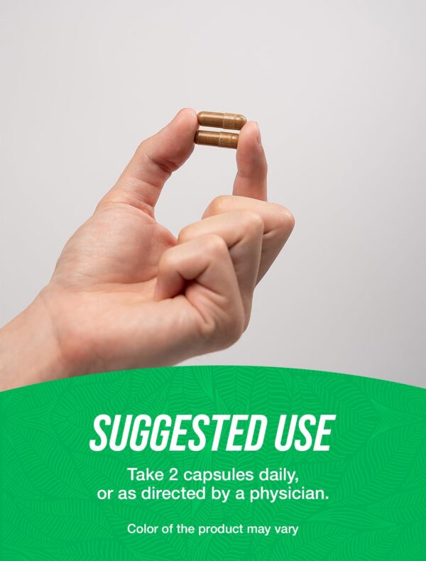 Suplemento de fibra de psyllium en cápsulas de BulkSupplements