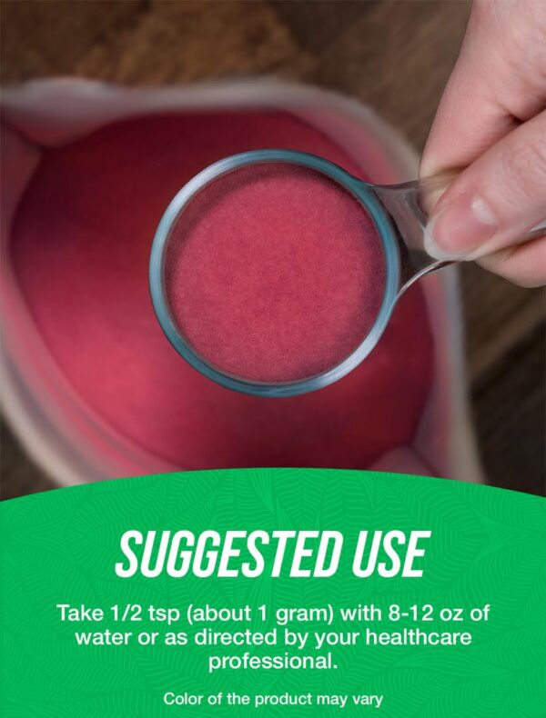 Version 1.0.0 Polvo de bayas maqui en textura