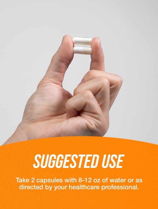 Envase de 240 cápsulas BulkSupplements