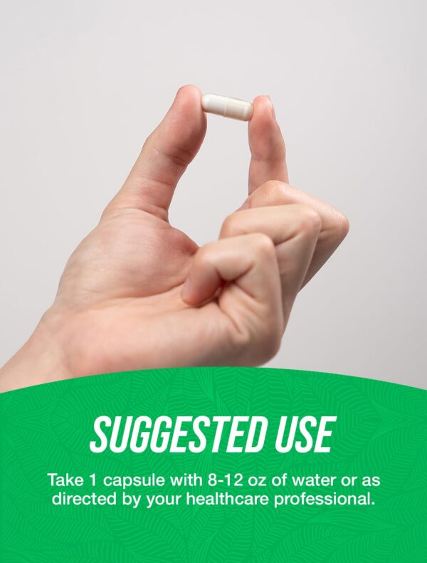 Cápsulas de Resveratrol en blister