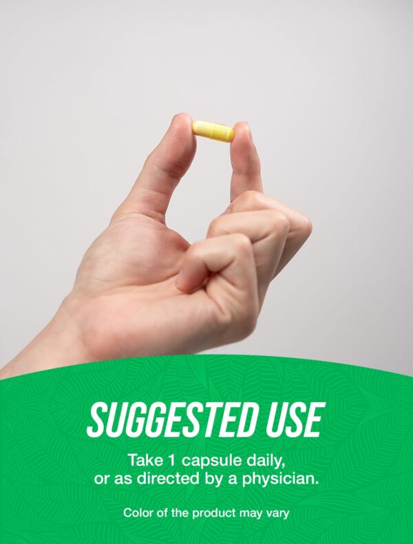 Presentación BulkSupplements Acerola vitamina C