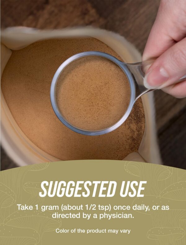 Suplemento BulkSupplements para antioxidantes y vitalidad con extracto de hongo