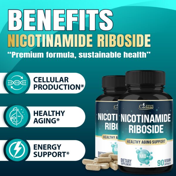 Tapa de seguridad del frasco de Cadane