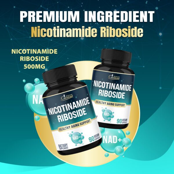 Version 1.0.0 Capsulas Cadane dentro del frasco