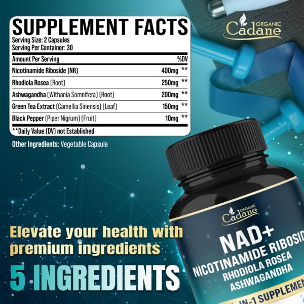 Version 1.0.0 Etiqueta Cadane Nicotinamide Riboside en tarro