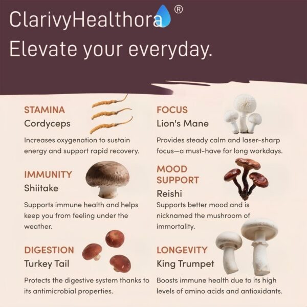 café adaptogénico con 6 hongos naturales y nutritivos