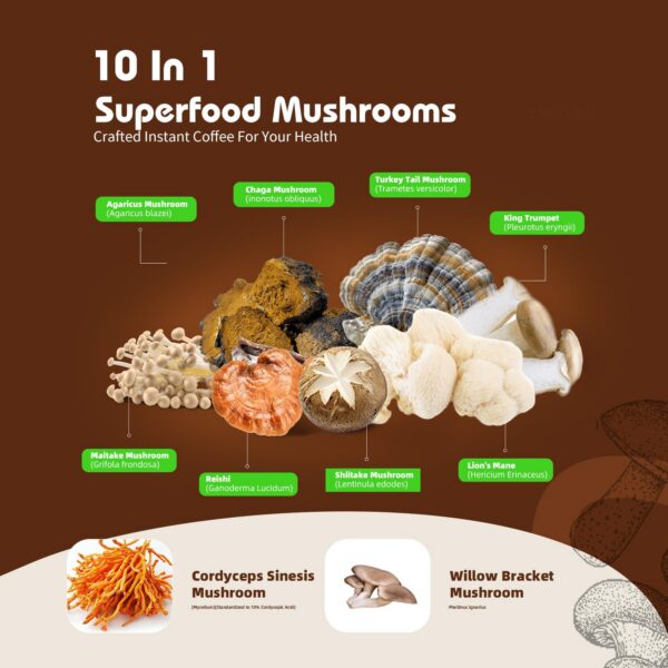 Café de Hongos Allcoovita ingredientes naturales para mejorar concentración