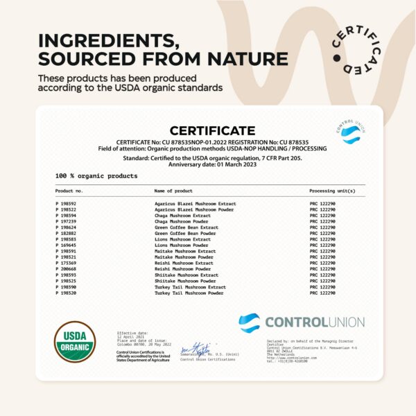 Café Instantáneo de Hongos para salud intestinal