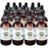 Caja con 15 botellas extracto de chaga sin alcohol Hawaii Pharm