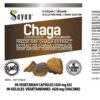 Caja de 20 bolsas de té natural de Chaga siberiano