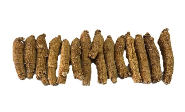 Version 1.0.0 Caja de 4 onzas ginseng americano selecto New Green Nutrition