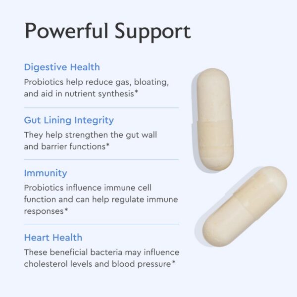 Version 1.0.0 Caja Alaya Naturals Advanced Synbiotic