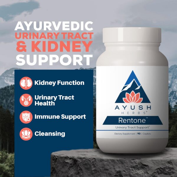 Caja de Ayush Herbs Rentone suplemento para función renal