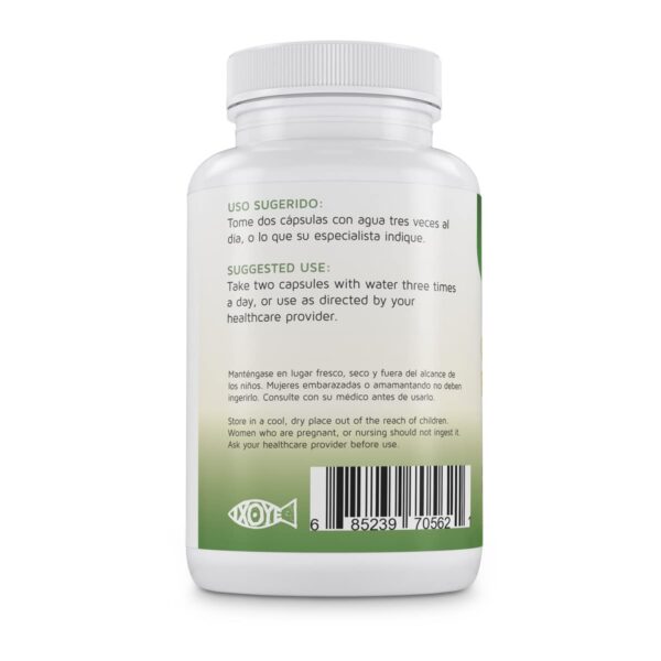 Caja Betel Natural Ginkgo Biloba 90 cápsulas original