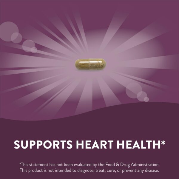 Caja y botella extracto hoja de olivo Nature's Way