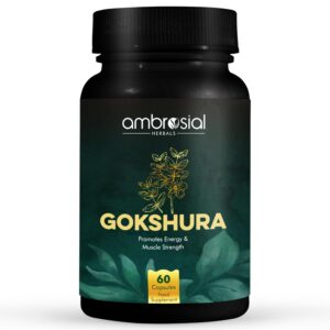 Caja de cápsulas Ambrosial Gokshura Tribulus Terrestris 500mg