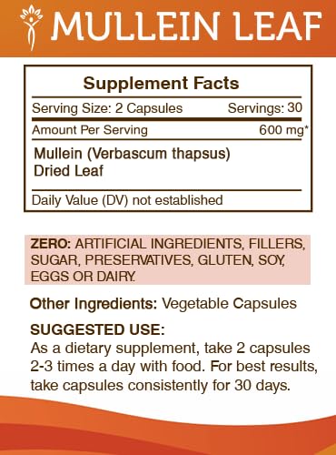 Version 1.0.0 Caja de cápsulas gordolobo Secrets of the Tribe y contenido