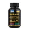 Version 1.0.0 Caja de cápsulas PINNACLE SHILAJIT suplemento 8 en 1 bienestar