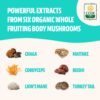 Caja del FreshCap Ultimate Mushroom Complex
