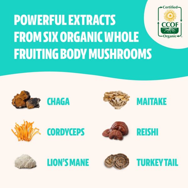 Caja del FreshCap Ultimate Mushroom Complex