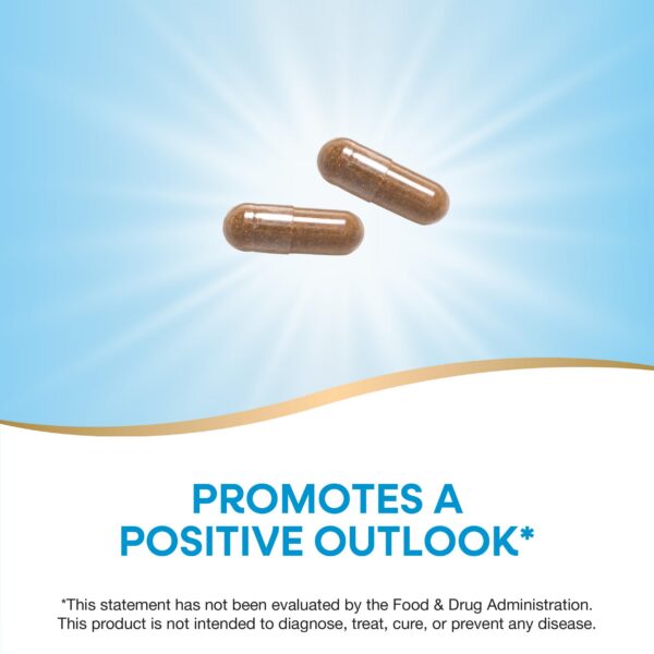 Version 1.0.0 Caja Hierba de San Juan Nature's Way 700mg para enfoque positivo