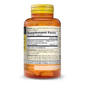 Caja Mason Natural probiótico con prebiótico 40 cápsulas