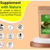 Caja de polvo de chlorella orgánico 100 gramos Blessfull Healing