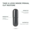 Caja Primal Harvest Restore salud digestiva y reparación intestinal