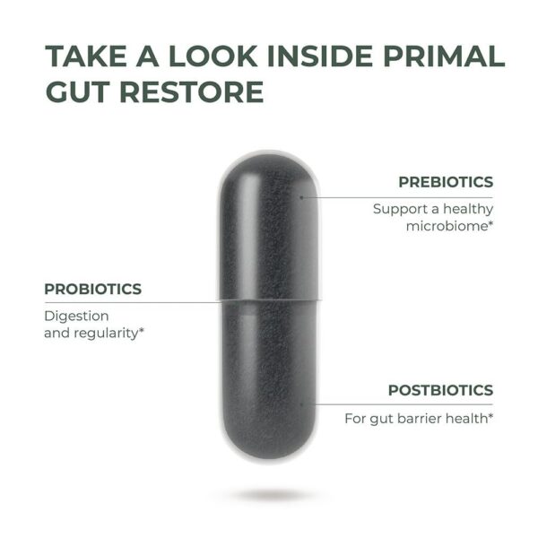 Caja Primal Harvest Restore salud digestiva y reparación intestinal