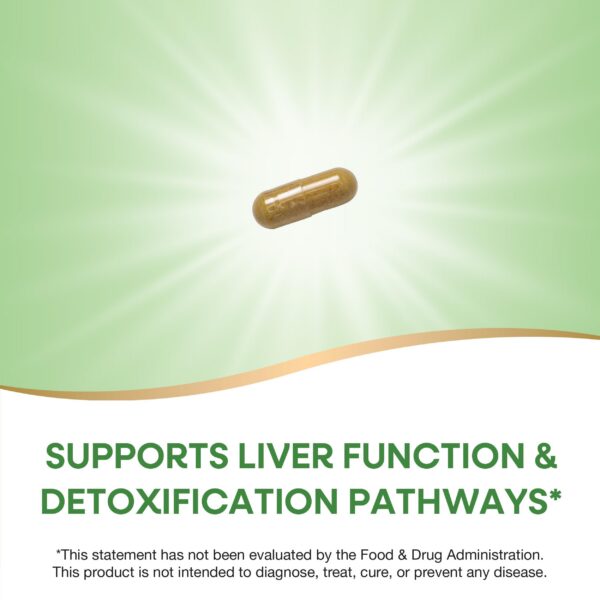 Version 1.0.0 Caja producto Nature's Way Cardo Mariano para detoxificación