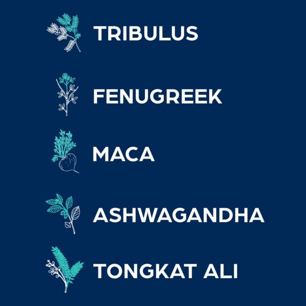 caja PS Rise & Shine con ingredientes naturales energéticos