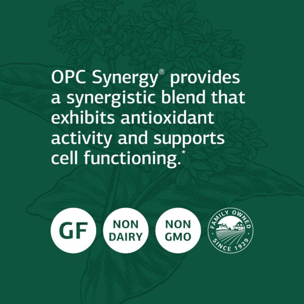 Caja de Standard Process OPC Synergy con apoyo cerebral y ocular