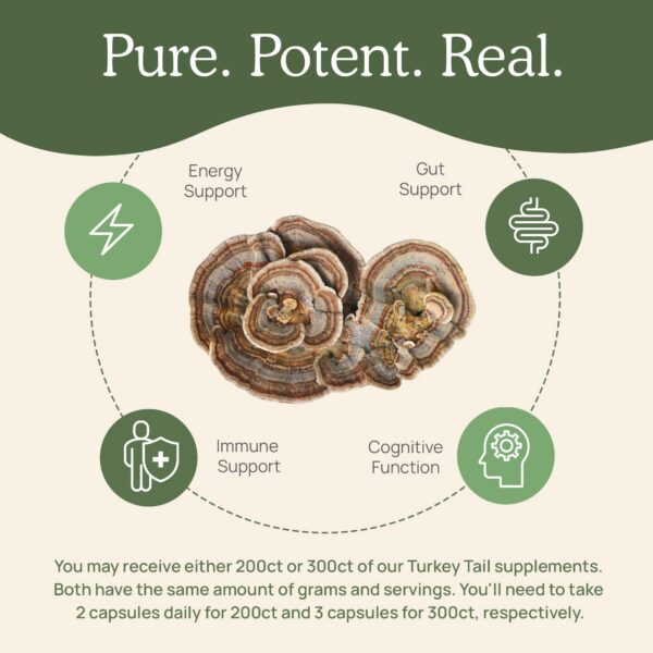 Version 1.0.0 Caja de suplemento de cápsulas Real Mushrooms cola de pavo