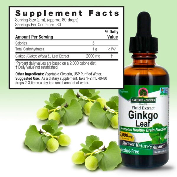Version 1.0.0 Suplemento de ginkgo biloba líquido sin gluten Nature's Answer
