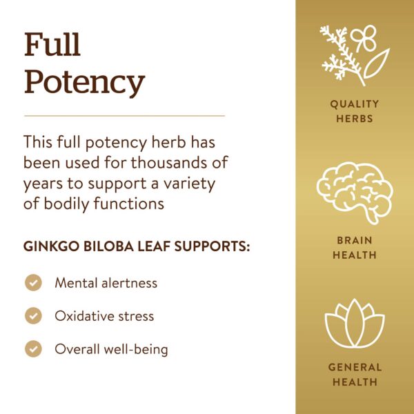 Caja del suplemento Solgar Ginkgo Biloba para memoria y salud cerebral