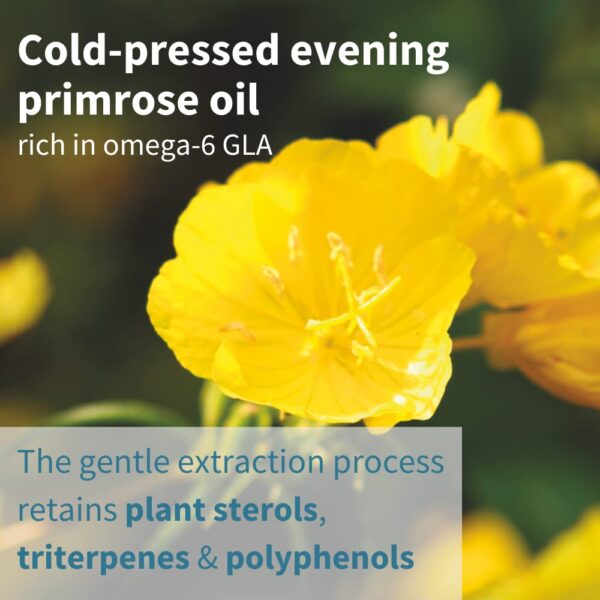 Caja de Vegepa omega-3 con 60 cápsulas blandas pequeñas